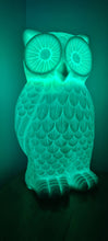 Load image into Gallery viewer, Saleš„STUNNING CERAMIC OWL LAMPS 2 ONLY