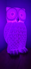 Load image into Gallery viewer, Saleš„STUNNING CERAMIC OWL LAMPS 2 ONLY