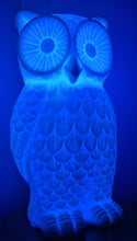 Load image into Gallery viewer, Saleš„STUNNING CERAMIC OWL LAMPS 2 ONLY