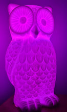 Load image into Gallery viewer, Saleš„STUNNING CERAMIC OWL LAMPS 2 ONLY