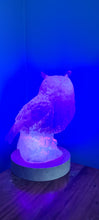 Load image into Gallery viewer, HOME MADE BY ME OWL MADE BY ME