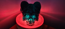 Load image into Gallery viewer, BAPHOMET GOAT SKULL LAMP on druzey crystal base -made by me