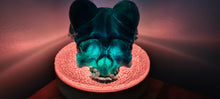 Load image into Gallery viewer, BAPHOMET GOAT SKULL LAMP on druzey crystal base -made by me