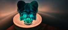 Load image into Gallery viewer, BAPHOMET GOAT SKULL LAMP on druzey crystal base -made by me