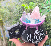 Load image into Gallery viewer, WITCHES BREW CRYSTAL GARDEN