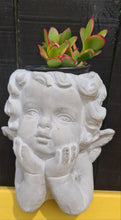 Load image into Gallery viewer, CHERUB CONCRETE PLANT HOLDER POTS two types &amp; sizes