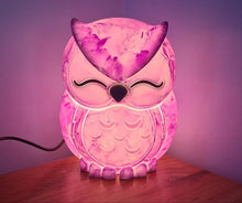 Load image into Gallery viewer, UNIQUE PAINTED OWL LAMP
