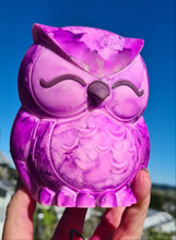 Load image into Gallery viewer, UNIQUE PAINTED OWL LAMP