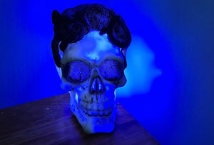 MYSTICAL CAT SKULL LAMP-put together by me