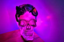 Load image into Gallery viewer, MYSTICAL CAT SKULL LAMP-put together by me