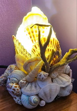 Load image into Gallery viewer, SHELL LAMP
