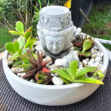 Load image into Gallery viewer, HANDMADE CONCRETE BUDDHA SUCCULANT GARDEN