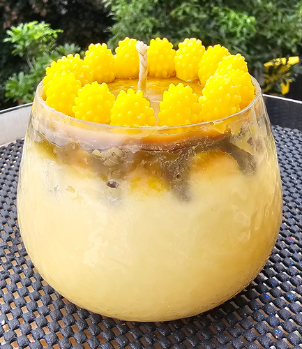PASSIONBERRY BANANA CARAMEL SOY/COCONUT CANDLE