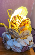Load image into Gallery viewer, SHELL LAMP