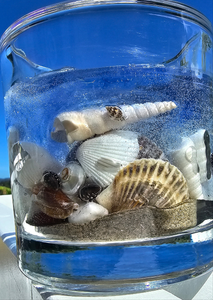 BEACHY CANDLE HOLDER
