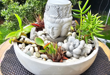 Load image into Gallery viewer, HANDMADE CONCRETE BUDDHA SUCCULANT GARDEN