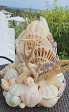 Load image into Gallery viewer, SHELL LAMP