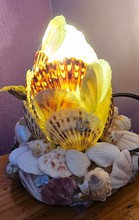Load image into Gallery viewer, SHELL LAMP