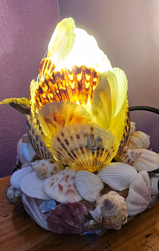 SHELL LAMP