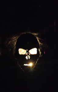 HANDMADE SKULL MIRROR