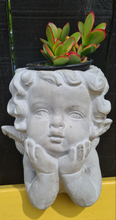 Load image into Gallery viewer, CHERUB CONCRETE PLANT HOLDER POTS two types &amp; sizes