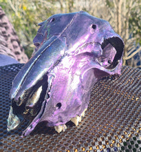 Load image into Gallery viewer, PAINTED SHEEP SKULL