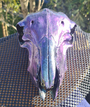 Load image into Gallery viewer, PAINTED SHEEP SKULL