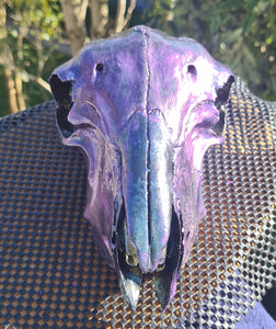PAINTED SHEEP SKULL