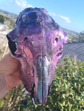 Load image into Gallery viewer, PAINTED SHEEP SKULL