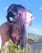 Load image into Gallery viewer, PAINTED SHEEP SKULL
