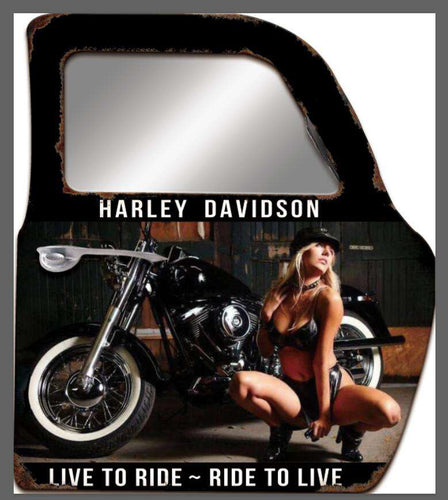 HARLEY DOOR WALL ART