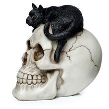 Load image into Gallery viewer, MYSTICAL CAT SKULL LAMP-put together by me