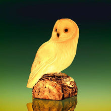 Load image into Gallery viewer, INCREDIBLE OWL LAMP