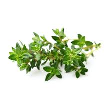 40% off PURE THERAPEUTIC ESSENTIAL OILS