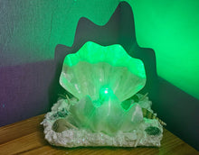 Load image into Gallery viewer, HANDMADE CLAM SHELL LAMP (large)