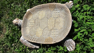 Sale🔥TURTLE JEWELERY TRINKET DISH