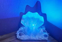 Load image into Gallery viewer, HANDMADE CLAM SHELL LAMP (large)