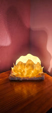 Load image into Gallery viewer, HANDMADE SHELL LAMP