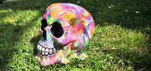Load image into Gallery viewer, HIPPY DESIGNS SKULLs