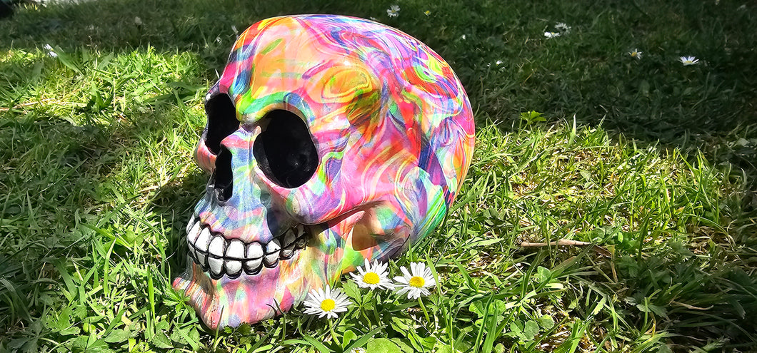 HIPPY DESIGNS SKULLs
