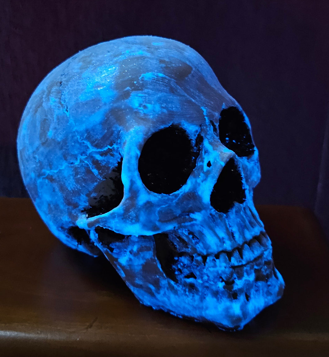 GLOW IN THE DARK SKULL