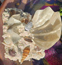 Load image into Gallery viewer, HANDMADE CLAM SHELL LAMP (large)