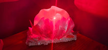 Load image into Gallery viewer, HANDMADE SHELL LAMP