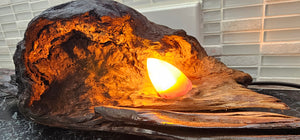 UNIQUE HANDMADE SWAMP KAURI BURL LAMP