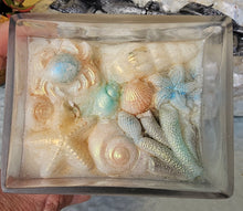 Load image into Gallery viewer, BEACHY FRENCH LAVENDER &amp; VANILLA CANDLE