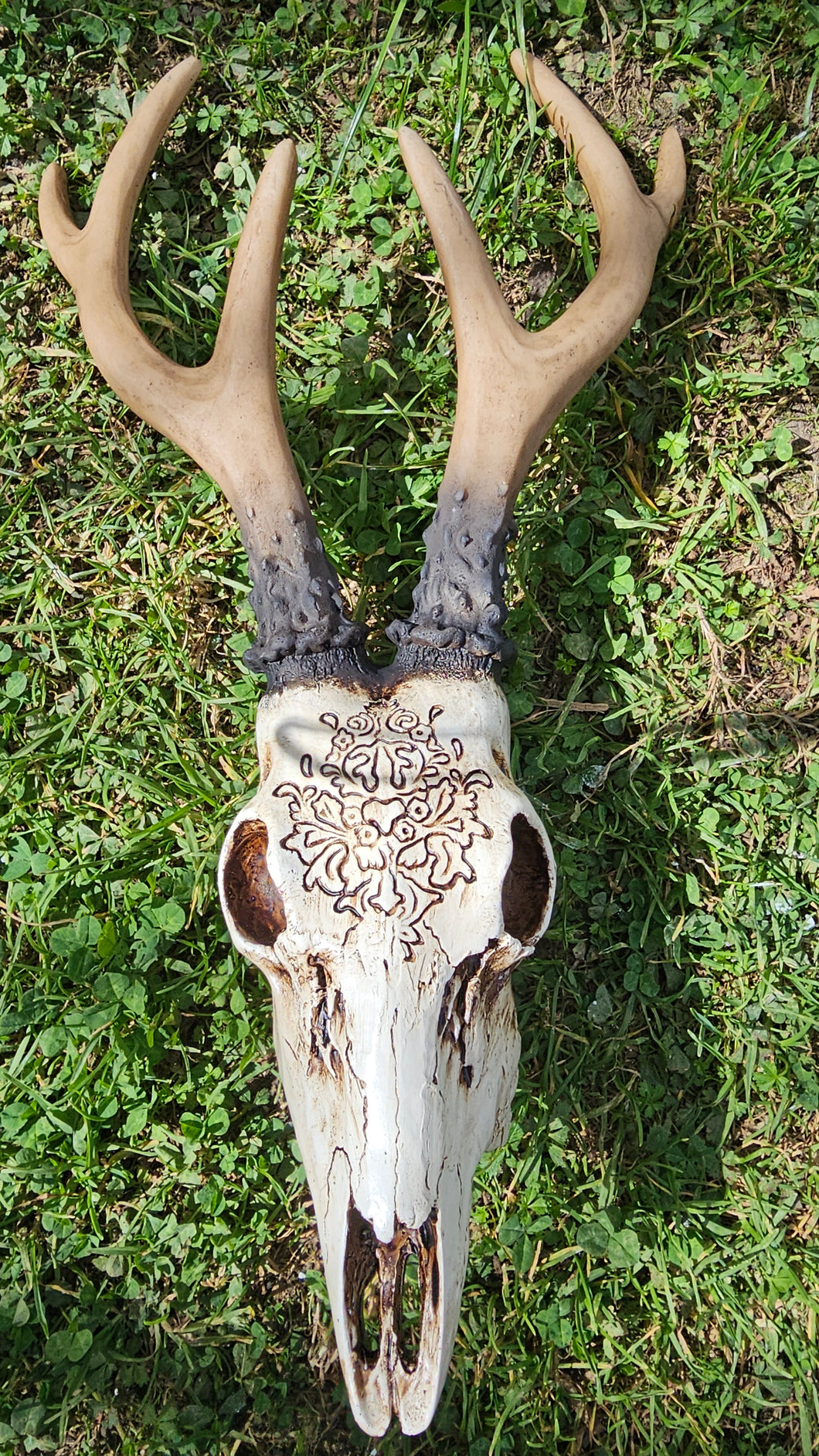 SIKA DEER SKULL WITH CARVING