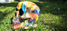 Load image into Gallery viewer, HIPPY DESIGNS SKULLs