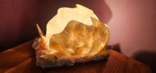 Load image into Gallery viewer, HANDMADE SHELL LAMP