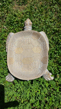 Load image into Gallery viewer, Sale🔥TURTLE JEWELERY TRINKET DISH