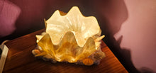 Load image into Gallery viewer, HANDMADE SHELL LAMP